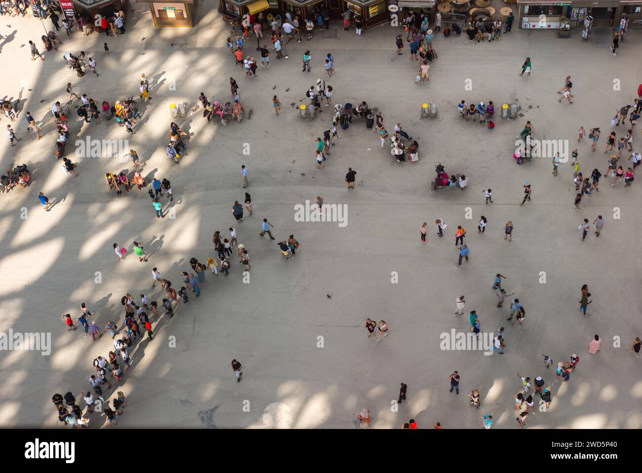 Gens, vue de dessus d'une foule, touristes faisant la queue et marchant, debout sur la place sous la Tour Eiffel, pigeons de rue ou pigeons de ville, ombre projetée par Banque D'Images