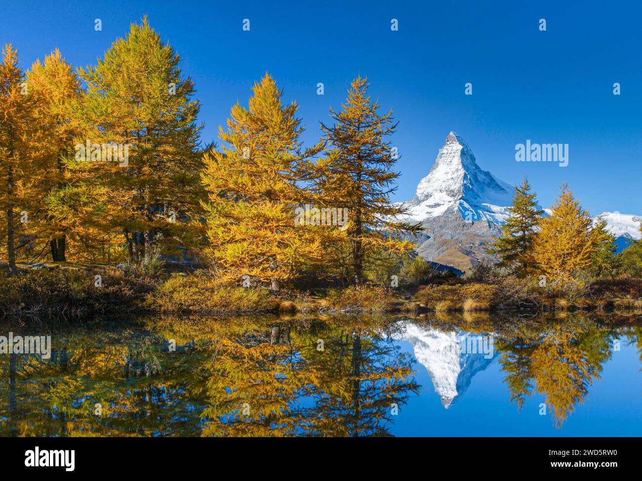 Matterhorn et le lac Grindji, Valais, Suisse Banque D'Images