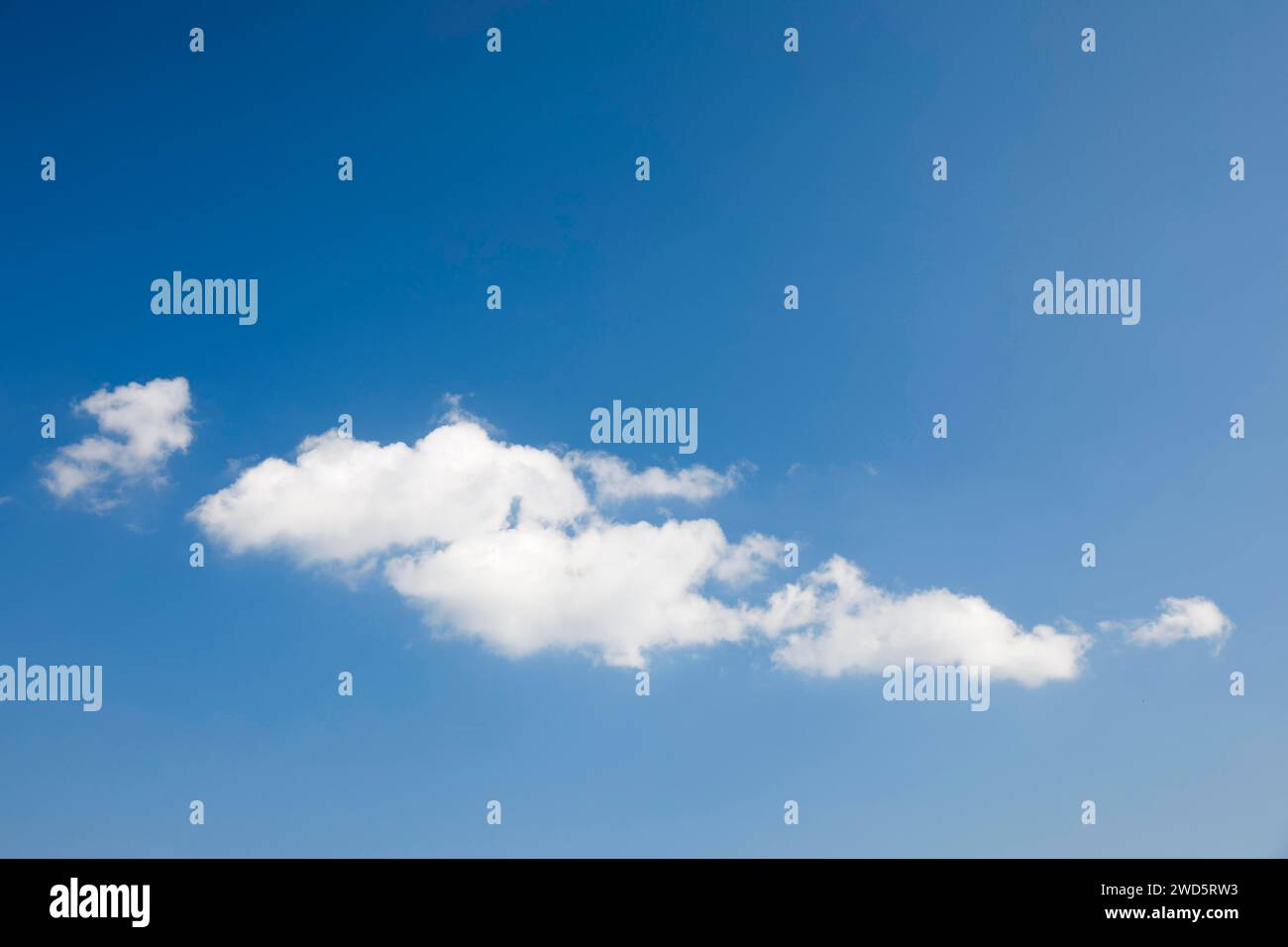 Des nuages blancs molletonnés ornent le ciel bleu Banque D'Images