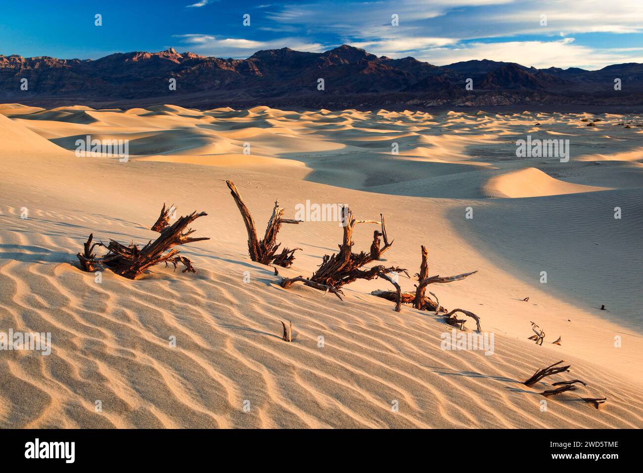 Dunes de sable de Mesquite Flats, dunes de sable, parc national de la Vallée de la mort, Californie, États-Unis, Amérique du Nord Banque D'Images