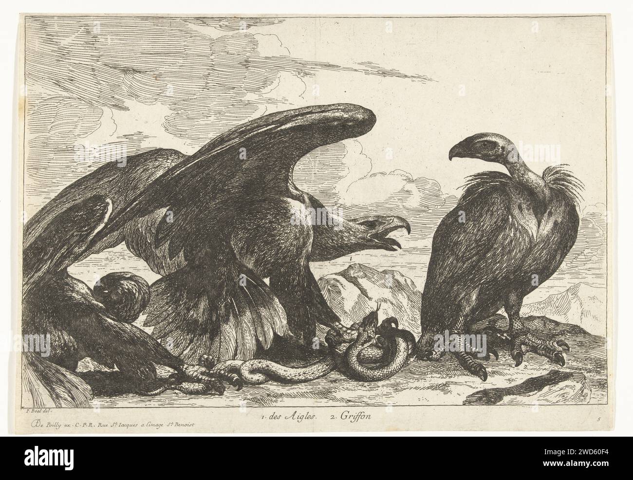 Gier et un aigle avec tuyau, Peeter Boel (attribué à), d'après Peeter Boel, 1670 - 1674 estampe dans un paysage rocheux, un aigle et un vautour d'un serpent se battent. Gravure sur papier de Paris oiseaux prédateurs : aigle. oiseaux prédateurs : vautour Banque D'Images