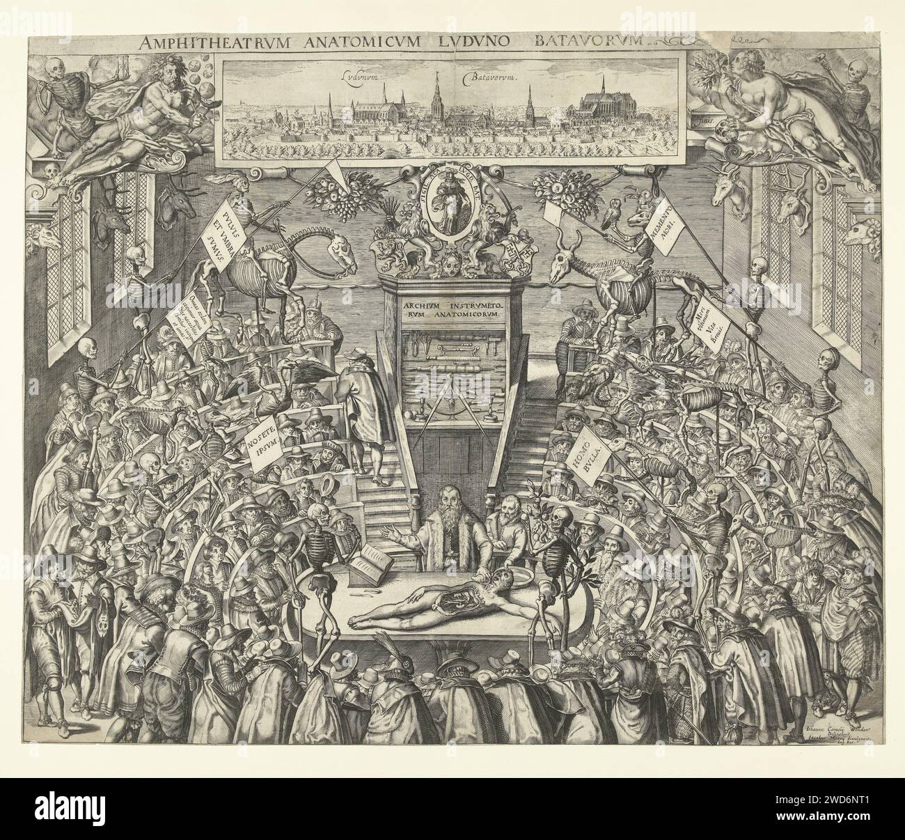 Theatrum Anatomicum de Leiden Academy, 1609, Bartholomeus Willemsz. Dolendo (peut-être), d'après Jan Cornelisz. Van 't Woudt, 1609 print Theatrum Anatomicum, théâtre anatomique de l'Université de Leiden, 1609. Au milieu un professeur (Peter Paaw?) Qui donne des leçons d'anatomie debout derrière une table sur laquelle un corps humain disséqué ; son Amanuensis se tient avec lui. Toutes sortes de cadres et de squelettes de personnes et d'animaux sont installés dans tout l'amphithéâtre entre les spectateurs présents. Derrière le professeur un placard avec des instruments médicaux, sur lequel l'Archium instrumentorum anatomicorum Banque D'Images