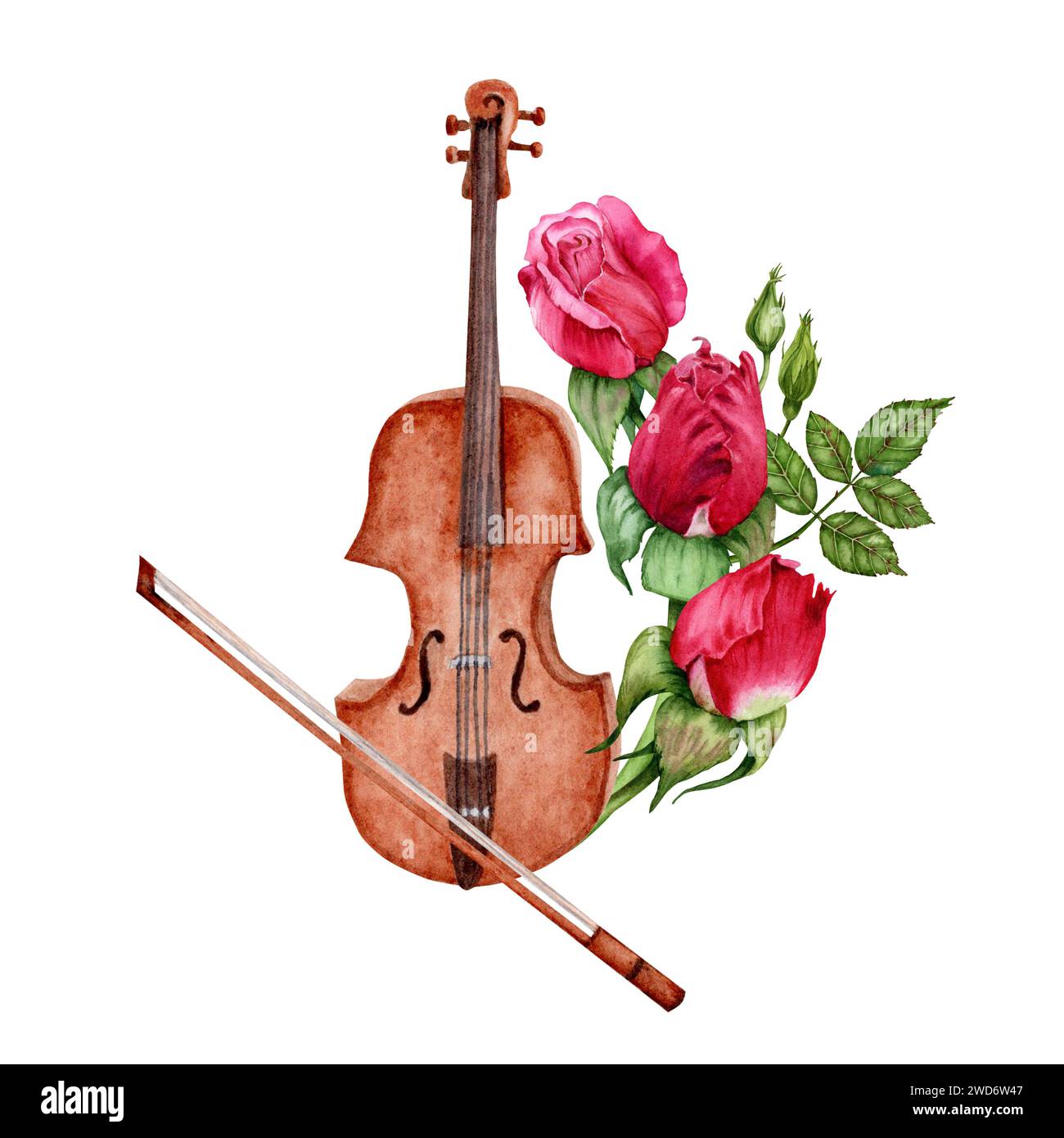 Violon avec arc décoré de roses rouges. Composition de musique classique. Illustration aquarelle isolée sur fond blanc. Élément design élégant Banque D'Images