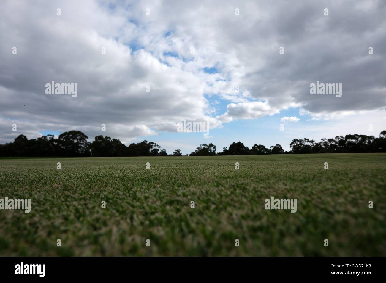 Terrain de sport herbeux de bas en bas avec des arbres et des nuages dans le ciel dans la distance Banque D'Images