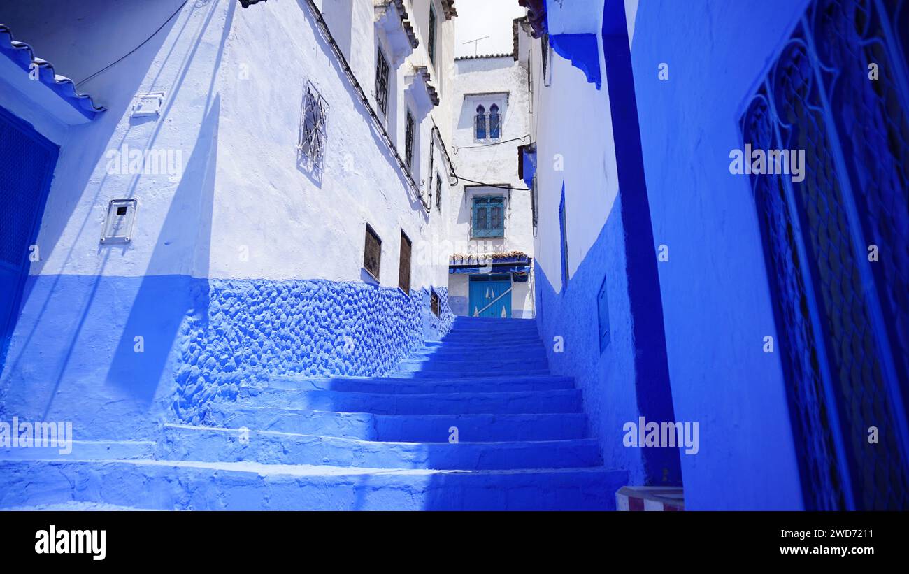 Des escaliers bleus éclatants ornent l'entrée d'un bâtiment, créant un contraste visuel captivant dans une ruelle urbaine Banque D'Images