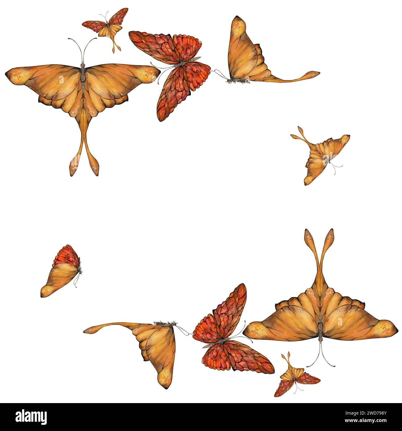 Illustration à l'aquarelle dessinée à la main papillon ailes de fée gemme cristal insecte papillon mite. Grenat ambré, rubis d'agate de sunstone. Cadre carré isolé sur blanc Banque D'Images