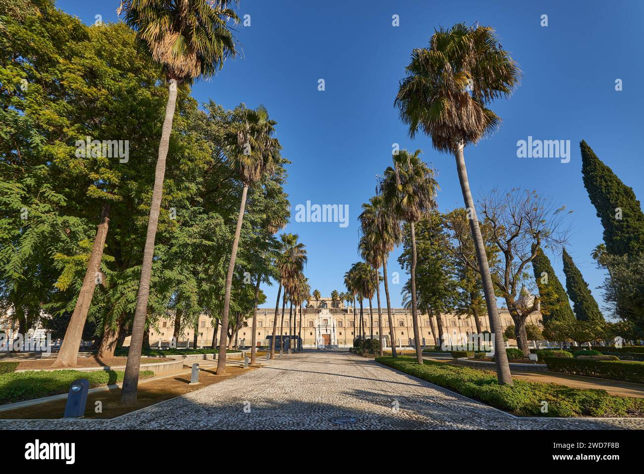 Parlamento de Andalucía (Parlement andalou) (ancien hôpital de las Cinco Llagas de Nuestro Redentor), Séville, Andalousie, Espagne, Europe. Banque D'Images