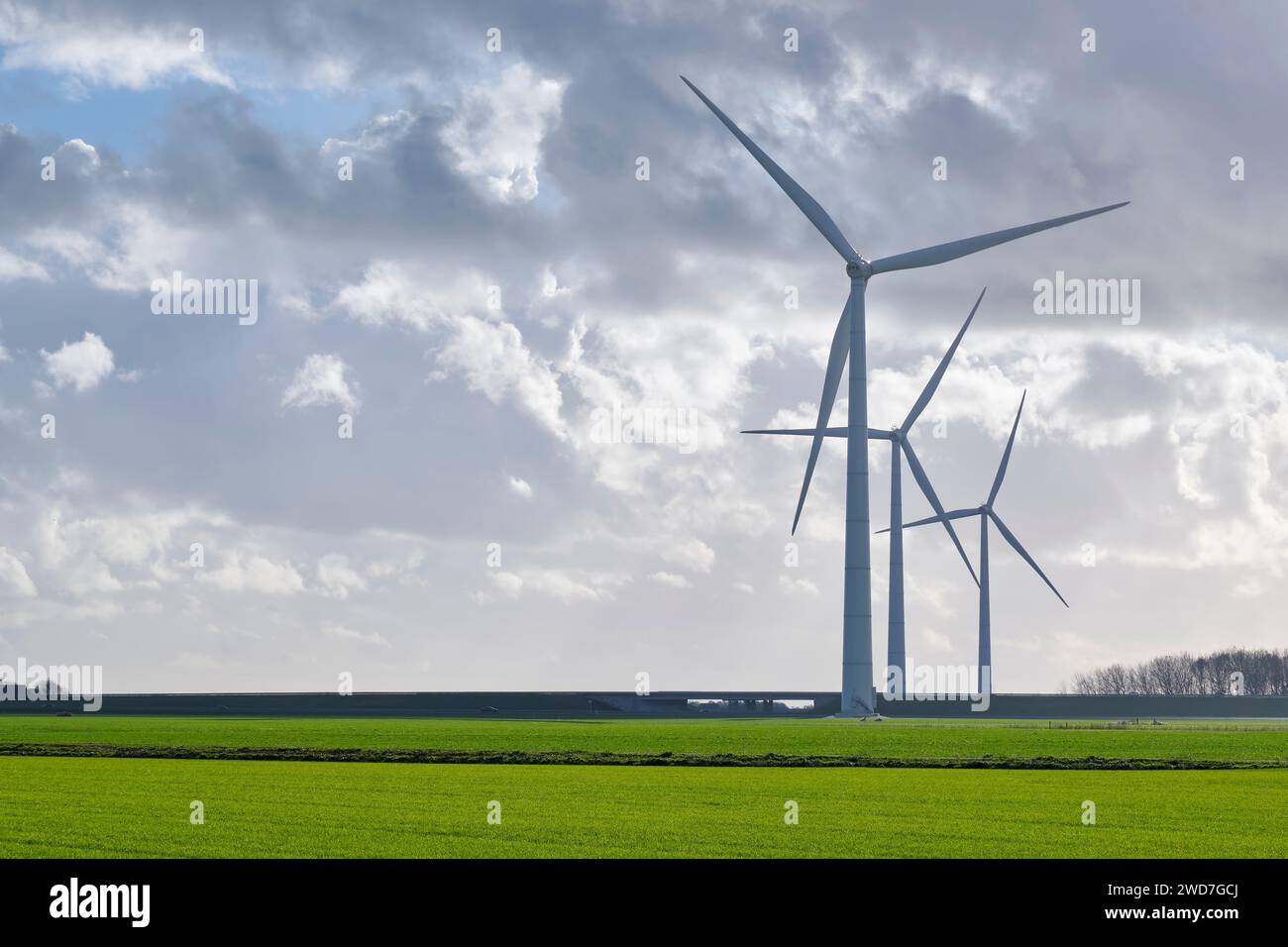 Éoliennes en contre-jour sur un champ agricole verdoyant contre un ciel nuageux dramatique en automne. Concept d'énergie propre. Image avec espace de copie Banque D'Images