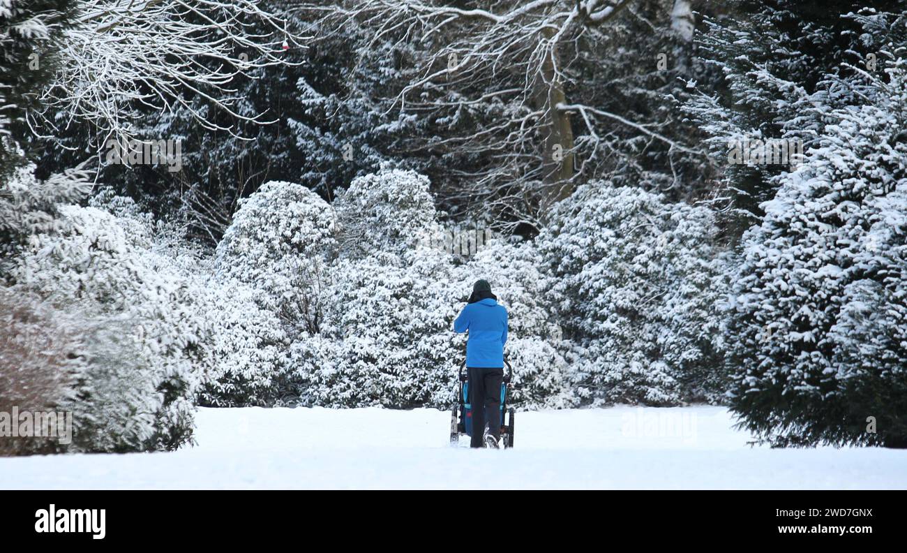 Ein Mann geht mit einem Kinderwagen auf einem mit Schnee bedeckten Weg im Stadtpark Hamburg entlang. Winterhude Hamburg *** Un homme marche avec une voiture d'enfant le long d'un chemin couvert de neige dans Hamburg City Park Winterhude Hamburg Banque D'Images