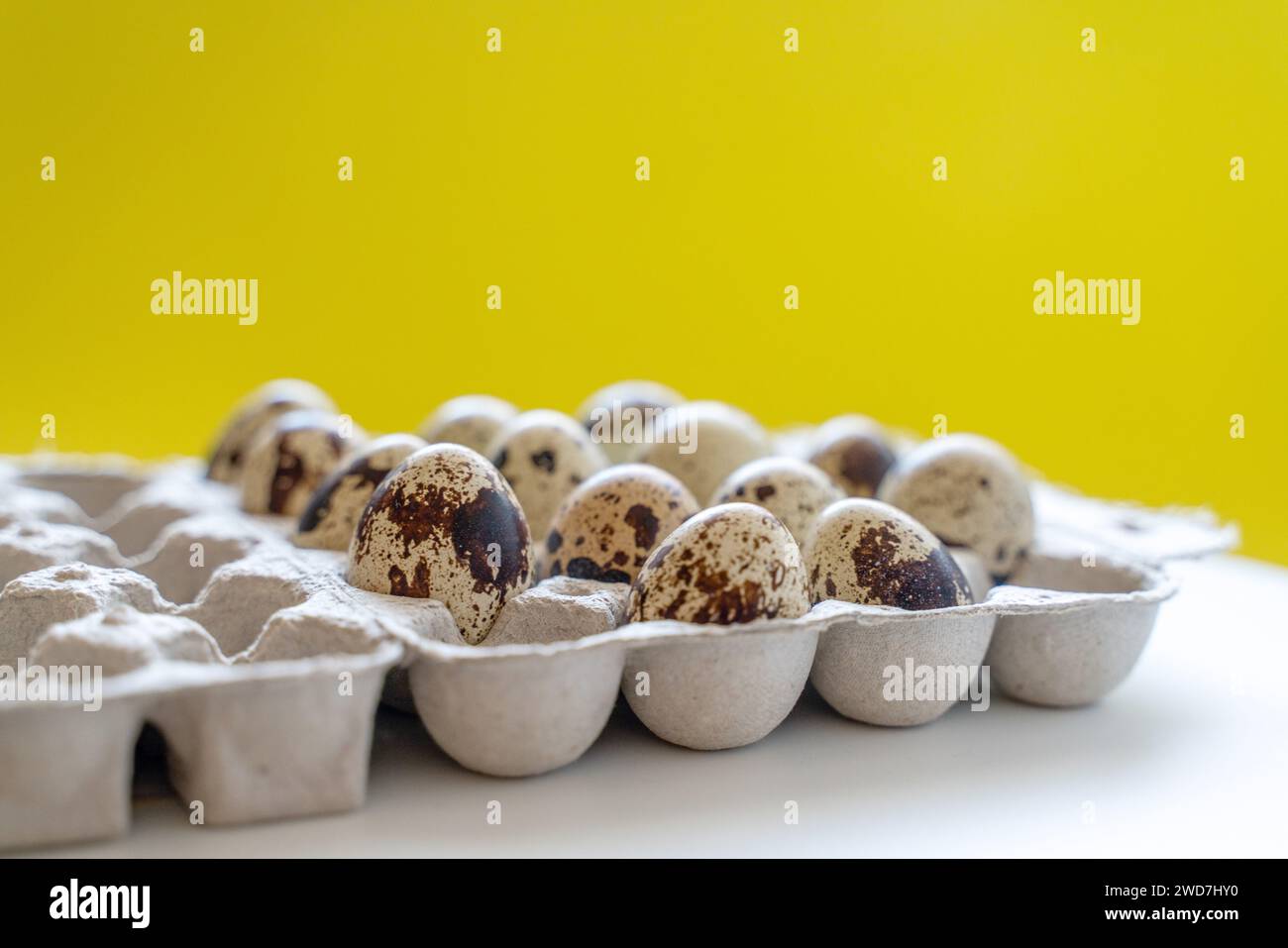 Œufs de caille tachetée dans une boîte à œufs sur fond jaune, produits écologiques naturels Banque D'Images