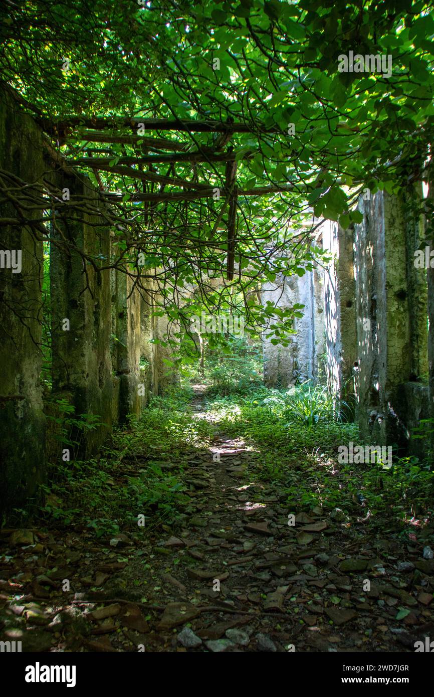 Moulins à papier vallée à Amalfi en campanie Banque D'Images