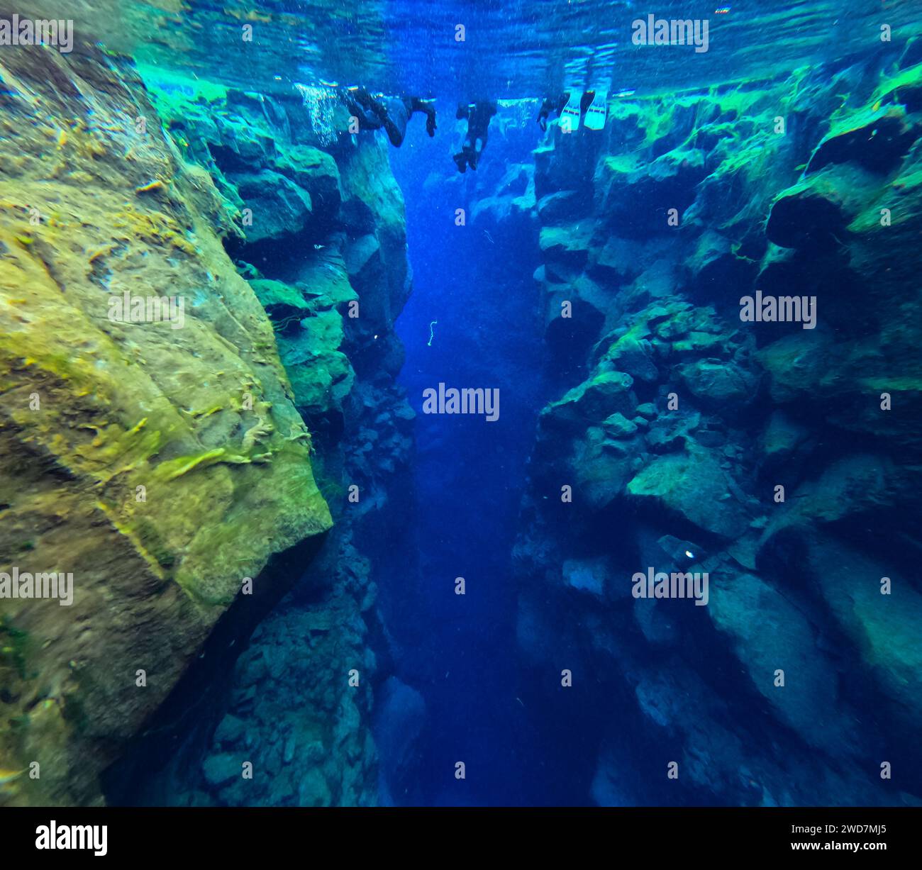 Nageoires et pattes des gens dans le canyon d'eau glaciaire d'un bleu profond Banque D'Images