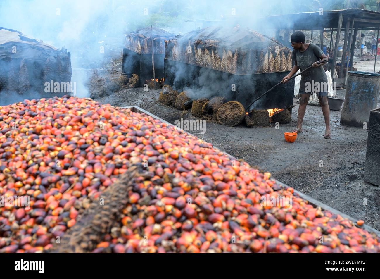 GHANA, Kwae, petite unité rurale de traitement de l'huile de palme, utilisation de combustible provenant des déchets de palmiers à huile, de fèves de palme à huile ou de noyaux pour l'extraction de l'huile de palme / GHANA, kleine lokale Palmöl Mühle, Nutzung von Brennstoffen aus Ölpalmenresten, Ölpalmkerne zum Auskochen des Palmfetts Banque D'Images