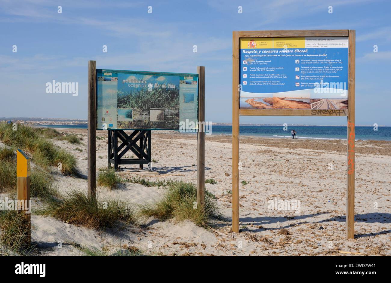 Parc naturel de Salinas y Arenales de San Pedro del Pinatar. Murcie, Espagne. Banque D'Images