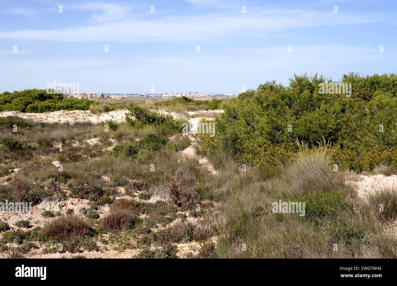 Parc naturel de Salinas y Arenales de San Pedro del Pinatar. En bas la Manga del Mar Menor. Murcie, Espagne. Banque D'Images