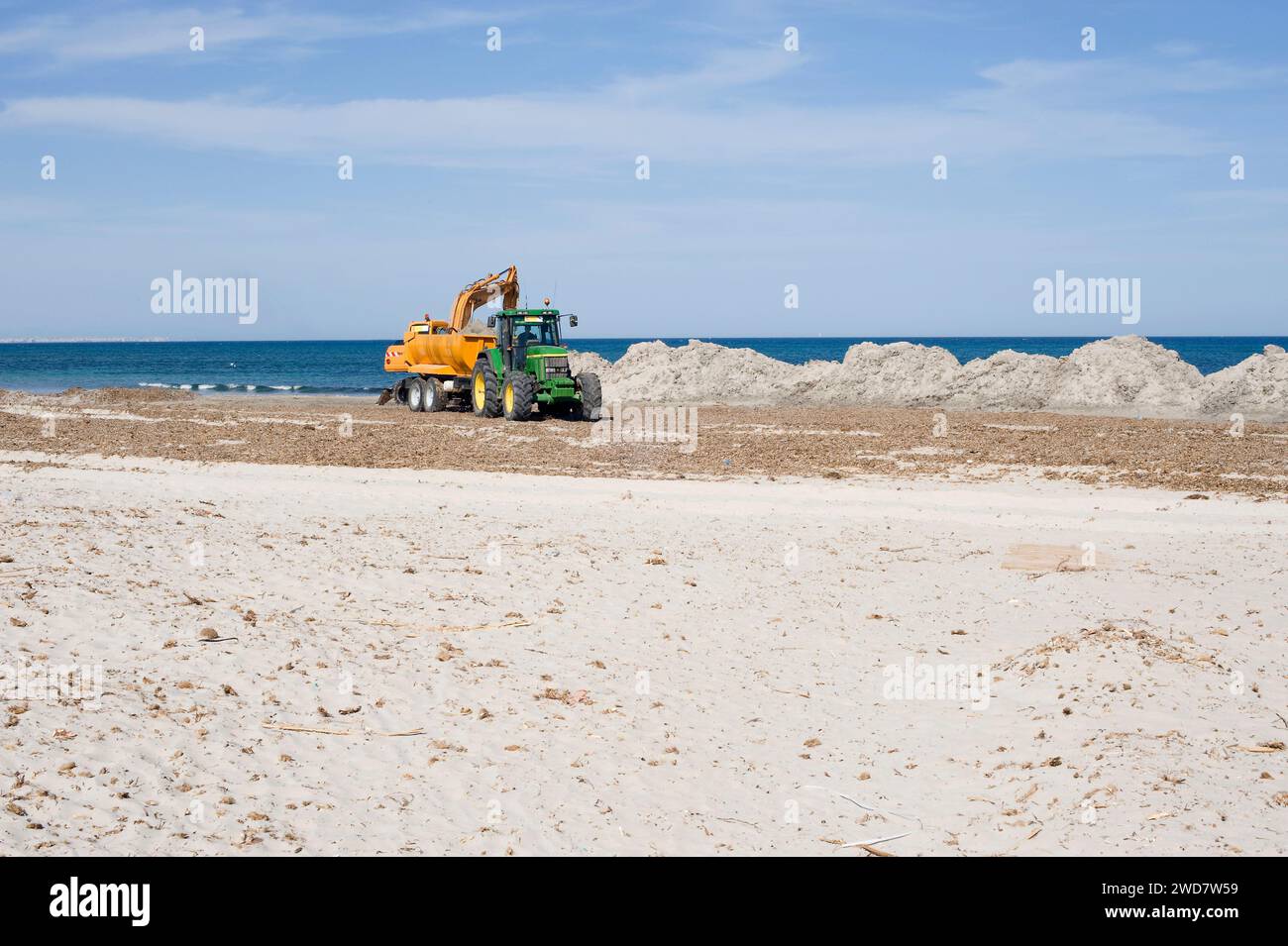 Travaux d'entretien de la plage de San Pedro del Pinatar. Murcie, Espagne. Banque D'Images