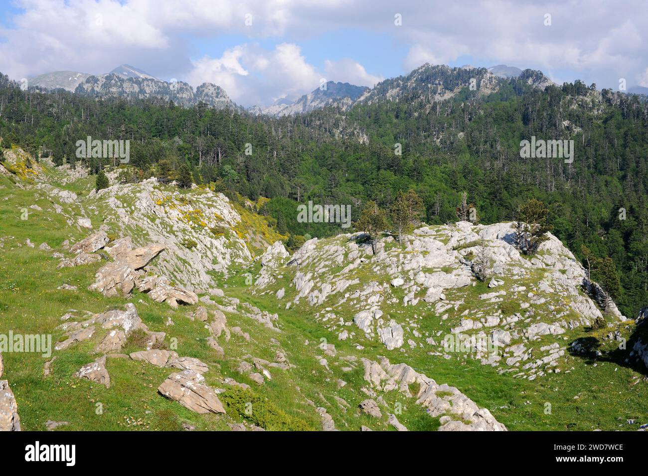 Réserve naturelle du massif de Larra-Belagua. Navarre, Espagne. Banque D'Images