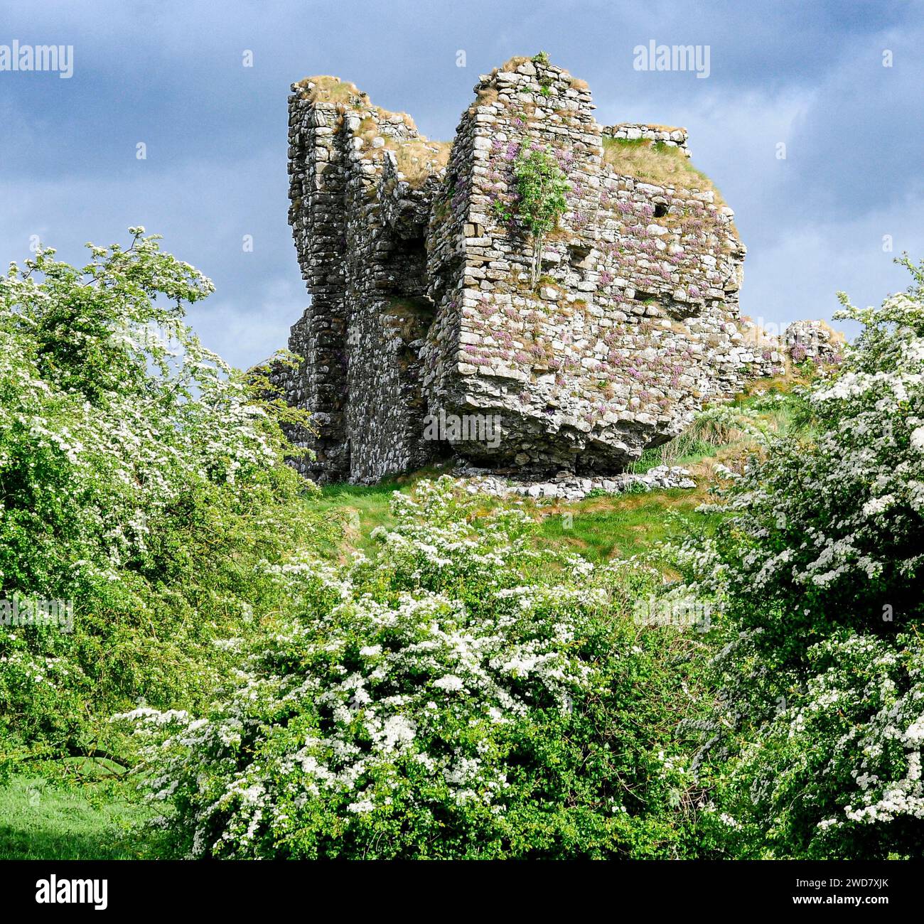 Une vue panoramique sur une ruine de château médiéval sur une colline verdoyante Banque D'Images