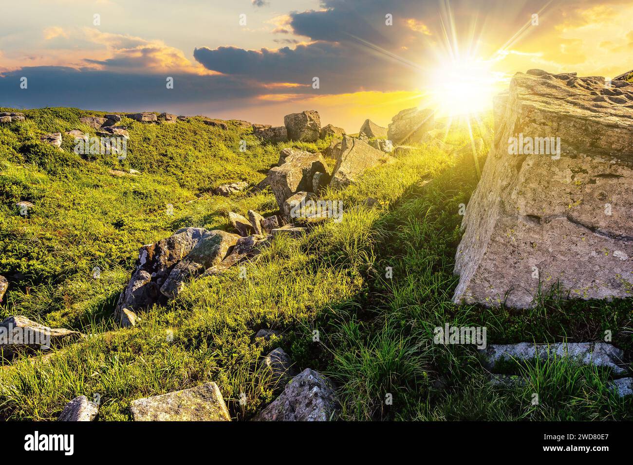 paysage d'été de montagne au coucher du soleil. prairie avec d'énormes pierres parmi l'herbe au sommet de la colline. beau paysage de campagne dans la lumière du soir Banque D'Images