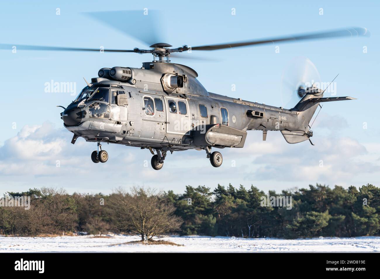 Un hélicoptère militaire Eurocopter AS532 Cougar du 300e escadron de la Rpyal Netherlands Air Force. Banque D'Images