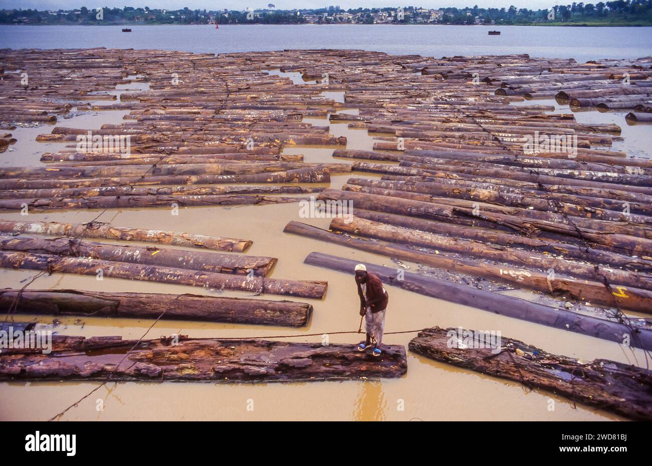 Côte d'Ivoire, Abidjan ; grumes de bois dans la baie de Banco en attente de transport par bateau. Un garde marche sur les bûches. Banque D'Images