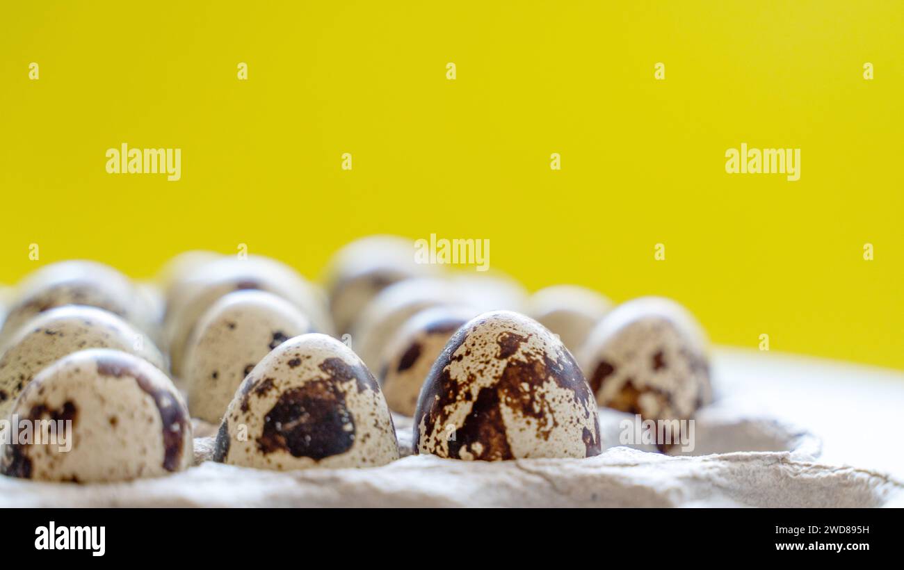 Œufs de caille tachetée dans une boîte à œufs sur fond jaune, produits écologiques naturels Banque D'Images