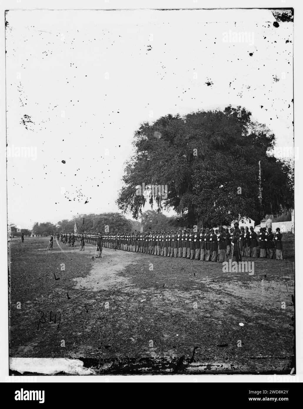 29th Connecticut Colored Infantry Regiment, Beaufort, Caroline du Sud. Banque D'Images