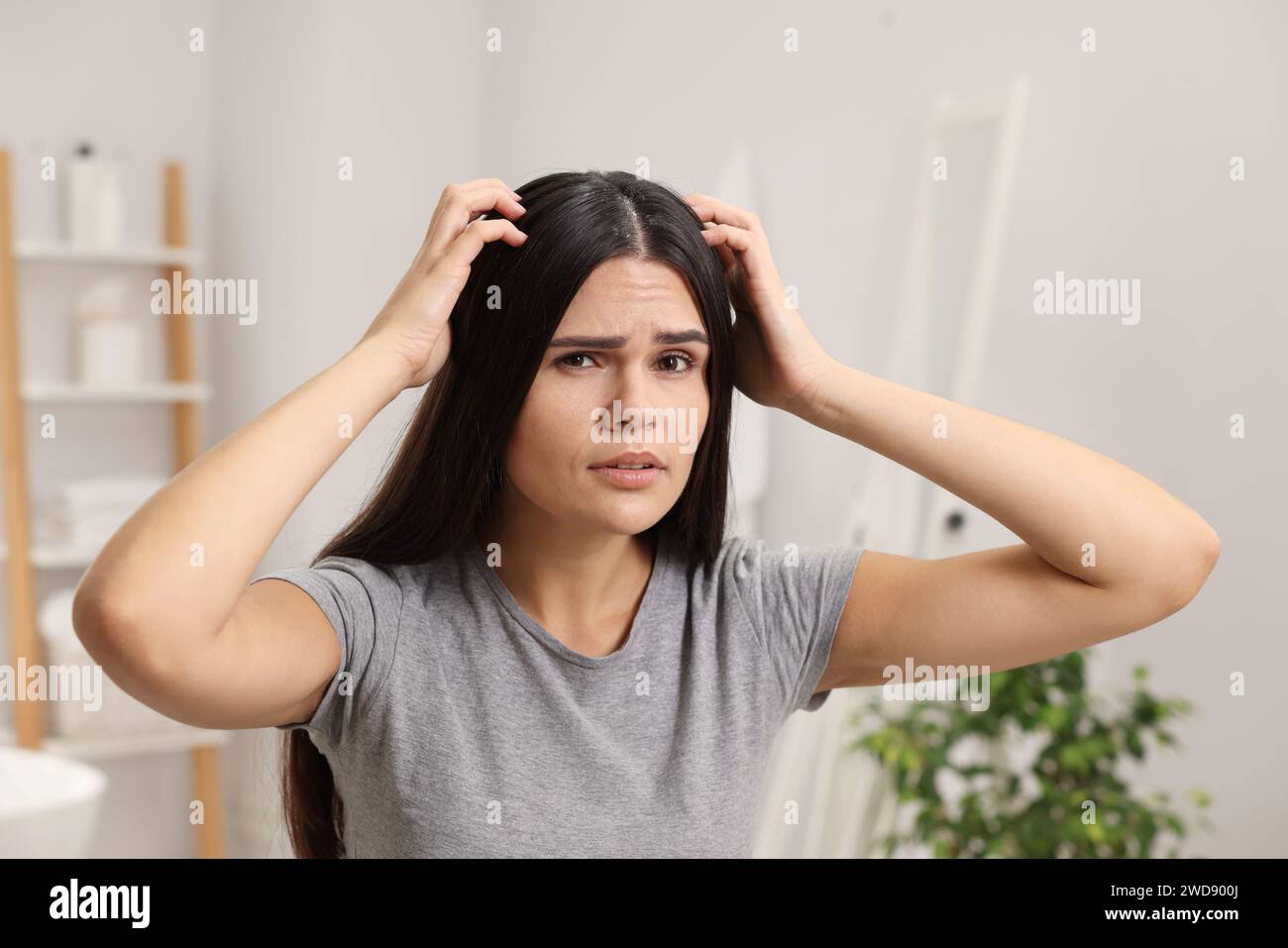 Femme émotionnelle examinant ses cheveux et son cuir chevelu dans la salle de bain. Problème de pellicules Banque D'Images