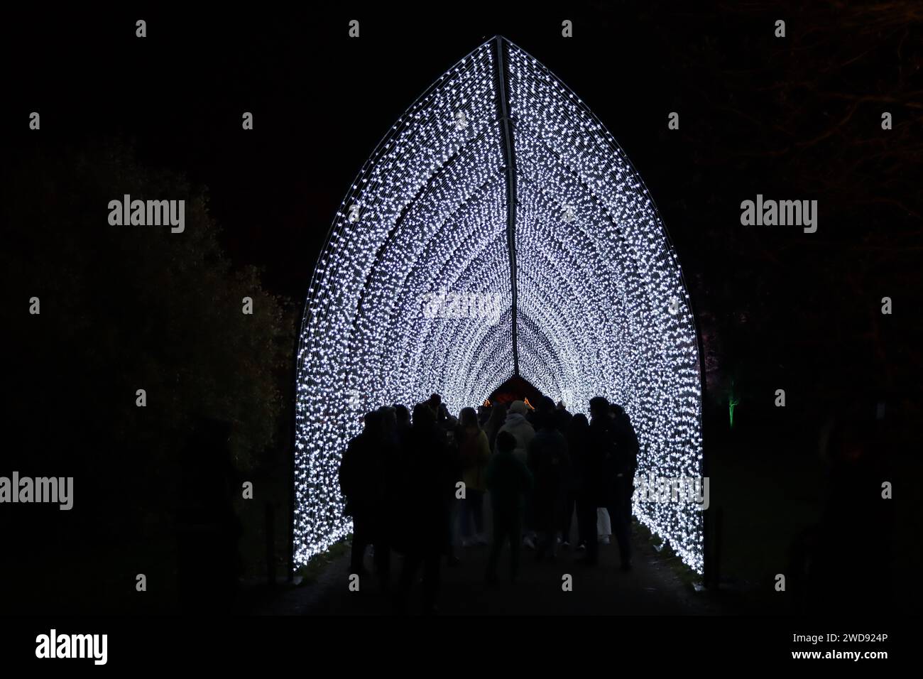 Noël à la cathédrale de lumière de Kew Gardens. Banque D'Images