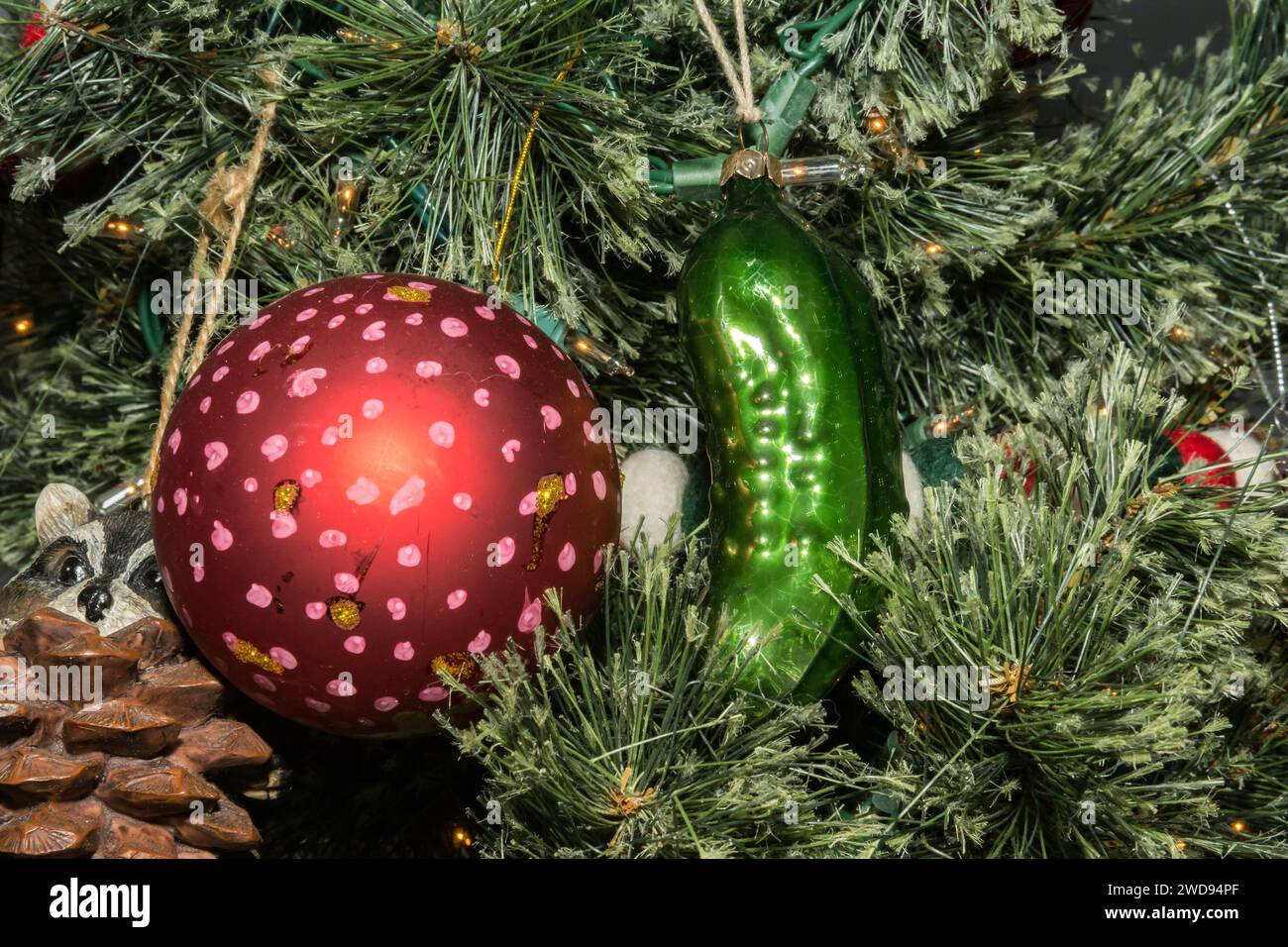 Cacher le Christmas Pickle Banque D'Images