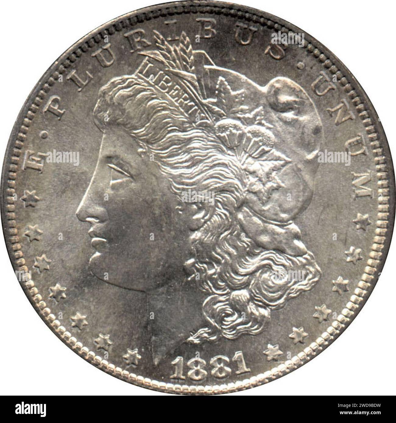 1881-S PCGS MS66 dollar Morgan (Coins2.calkinsc.com). Banque D'Images