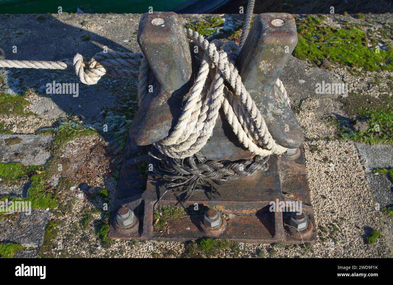 Un poteau d'amarrage ou une borne de staghorn avec une corde d'amarrage attachée autour de lui en un chiffre de huit. Banque D'Images