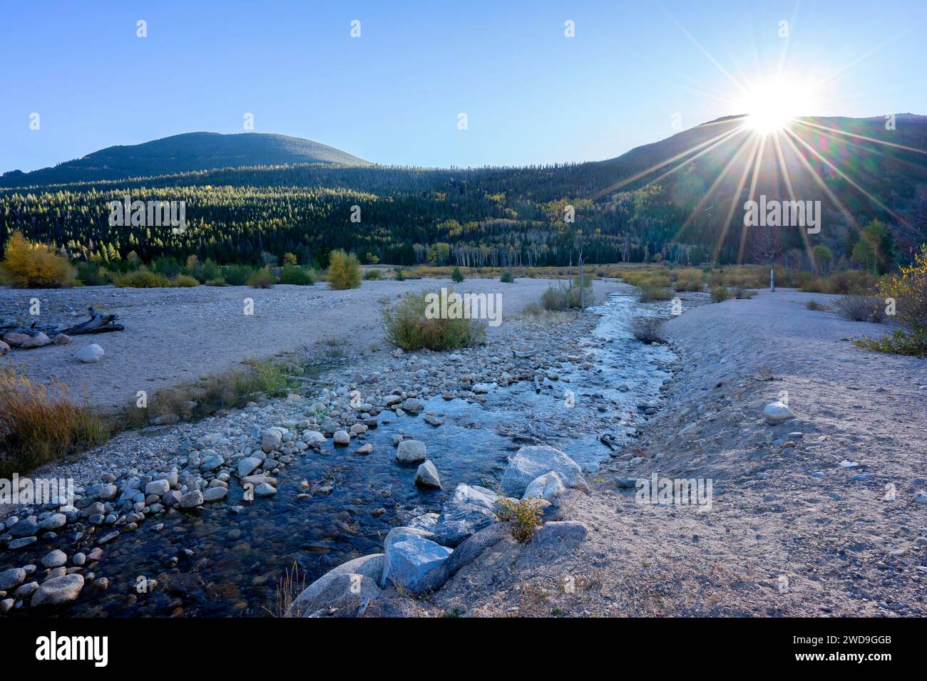 Quelque part dans le parc national des montagnes Rocheuses, le coucher du soleil brille sur un petit ruisseau. Aspen change de couleur dans la forêt. Banque D'Images