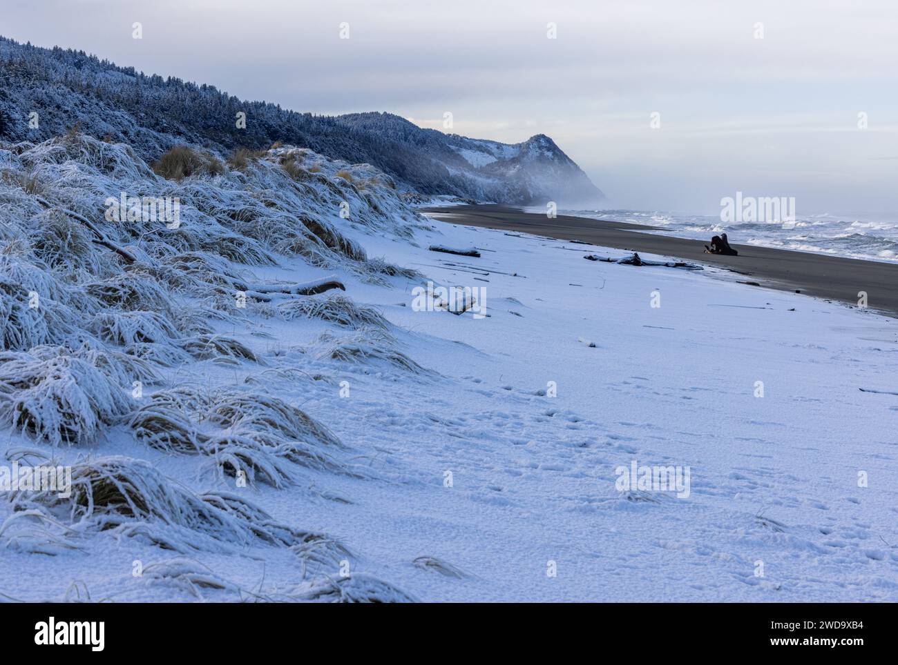 Cap Sebastian au sud de Gold Beach Oregon avec neige et océan orageux après une tempête hivernale en février 2023 Banque D'Images