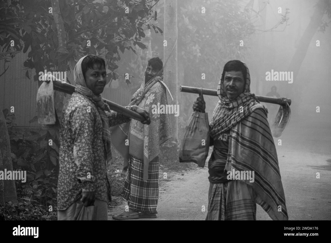 Un matin de village d'hiver densément brumeux. Cette image a été prise le 19 janvier 2014 à Keraniganj, Bangladesh Banque D'Images