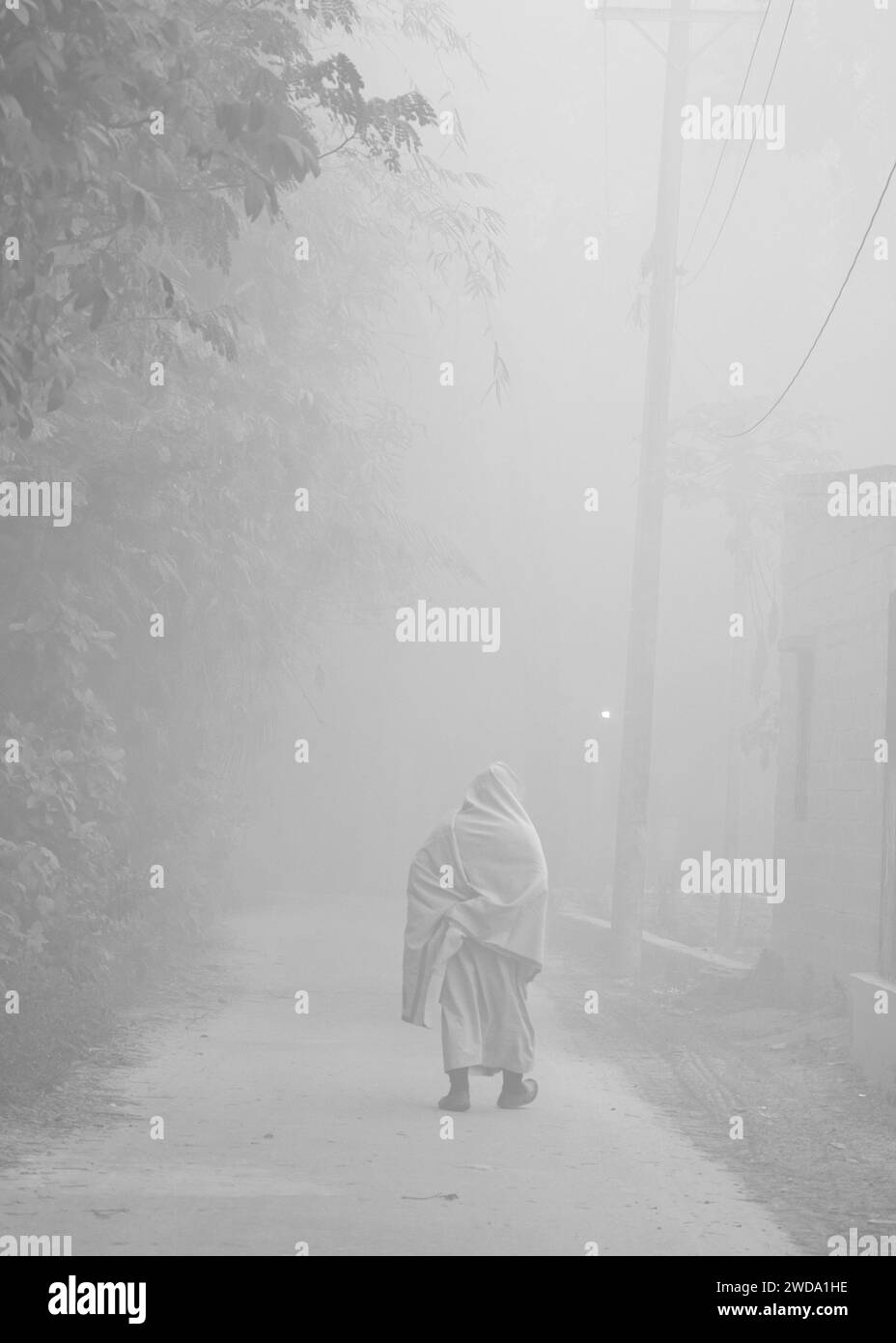 Un matin de village d'hiver densément brumeux. Cette image a été prise le 19 janvier 2014 à Keraniganj, Bangladesh Banque D'Images