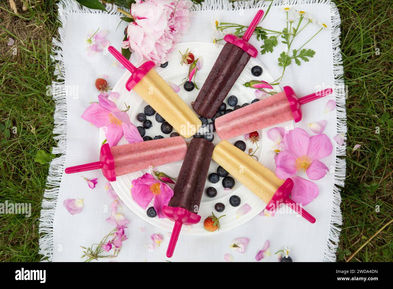 Sucettes glacées maison colorées faites maison sur une couverture de pique-nique avec bananes, myrtilles et fraises servies dans le jardin, festin familial en plein air Banque D'Images