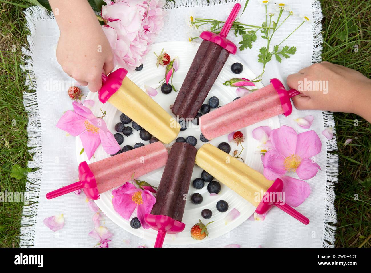 Enfants atteignant pour des sucettes de glace maison colorées sur une couverture de pique-nique avec des baies et des fleurs, gâterie d'été en plein air, moment de style de vie familial ludique Banque D'Images