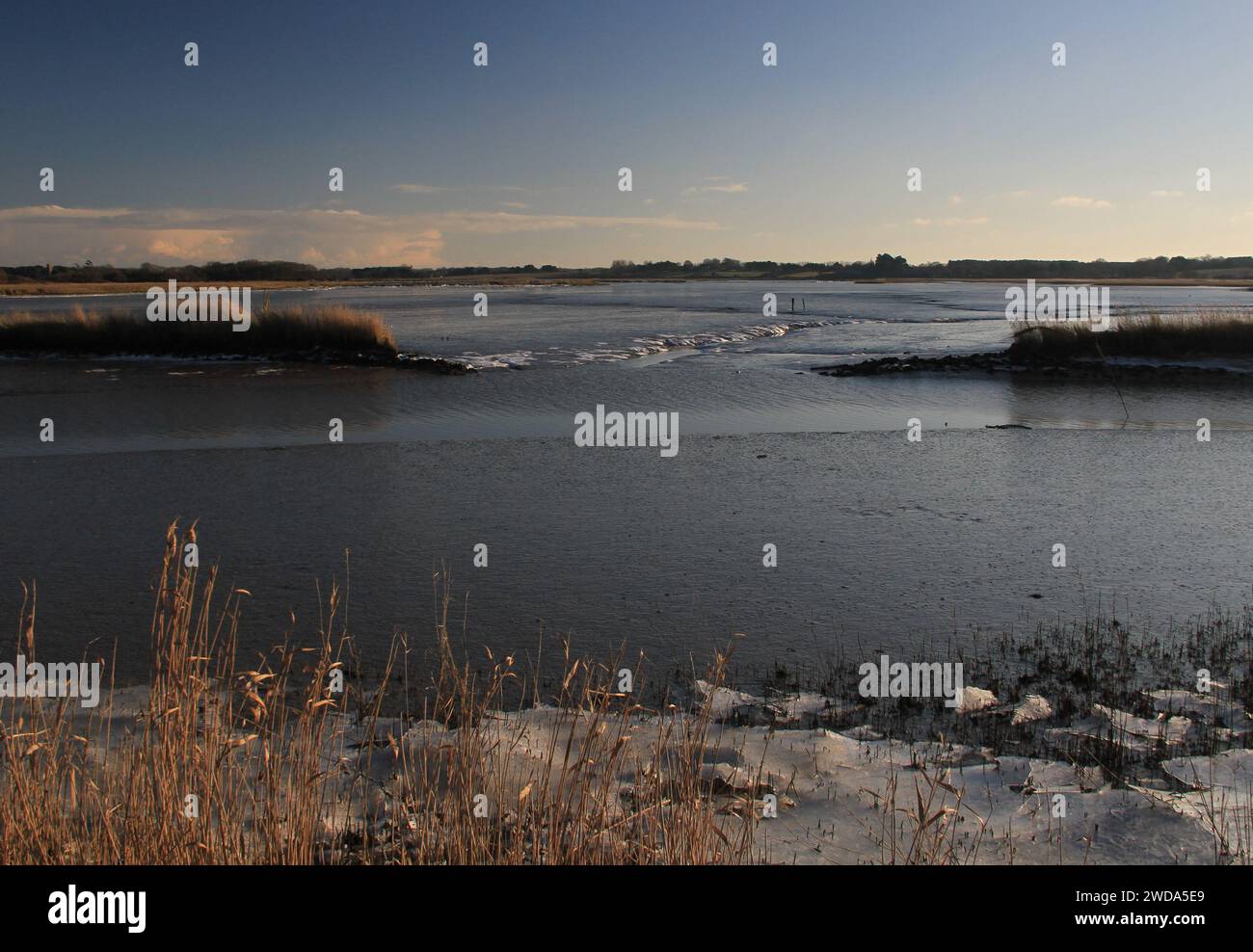 Vue hivernale le long de la rivière ALDE à Snape, Suffolk Banque D'Images
