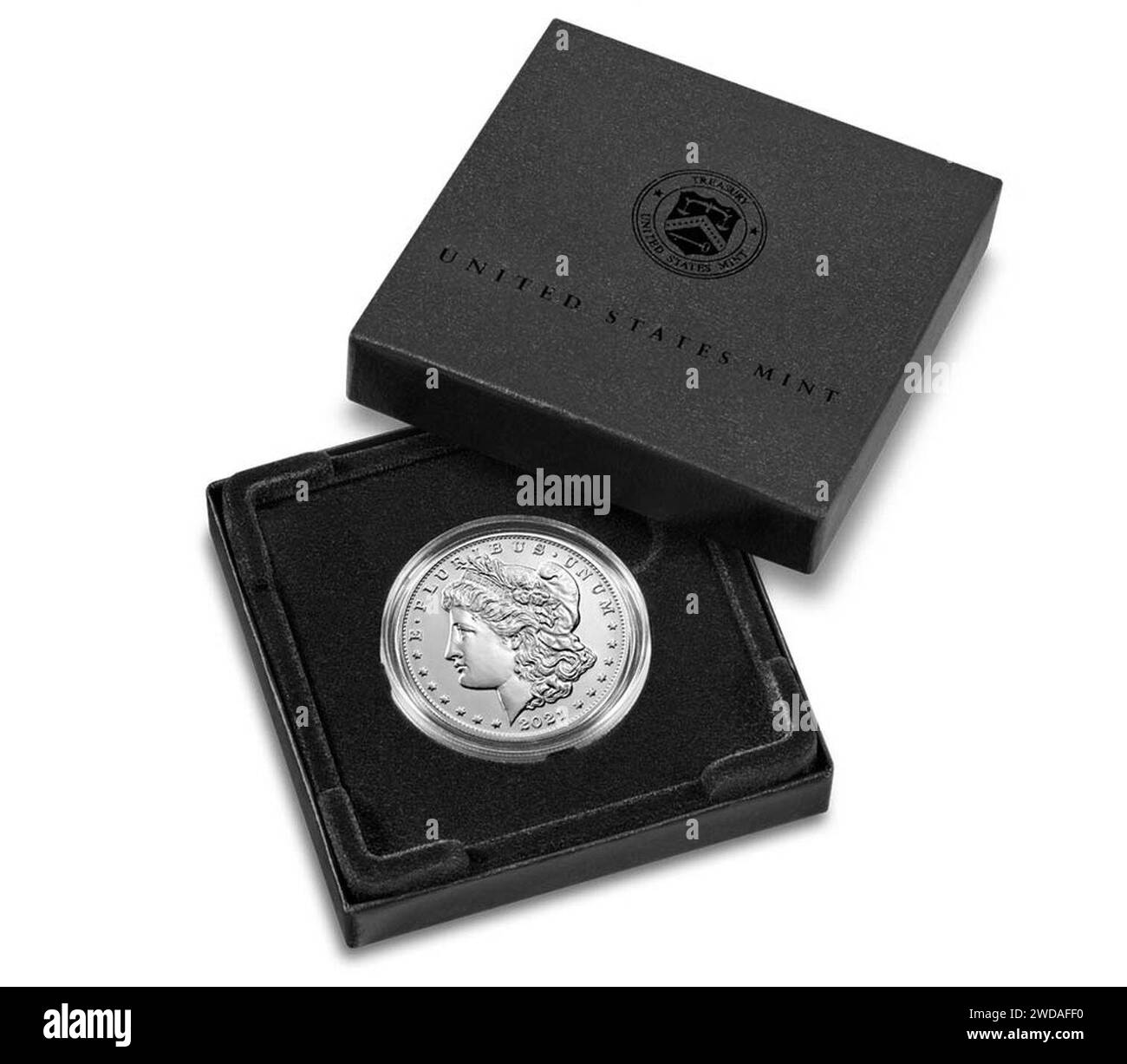 2021 Dollar Morgan dans la boîte d'affichage. Banque D'Images