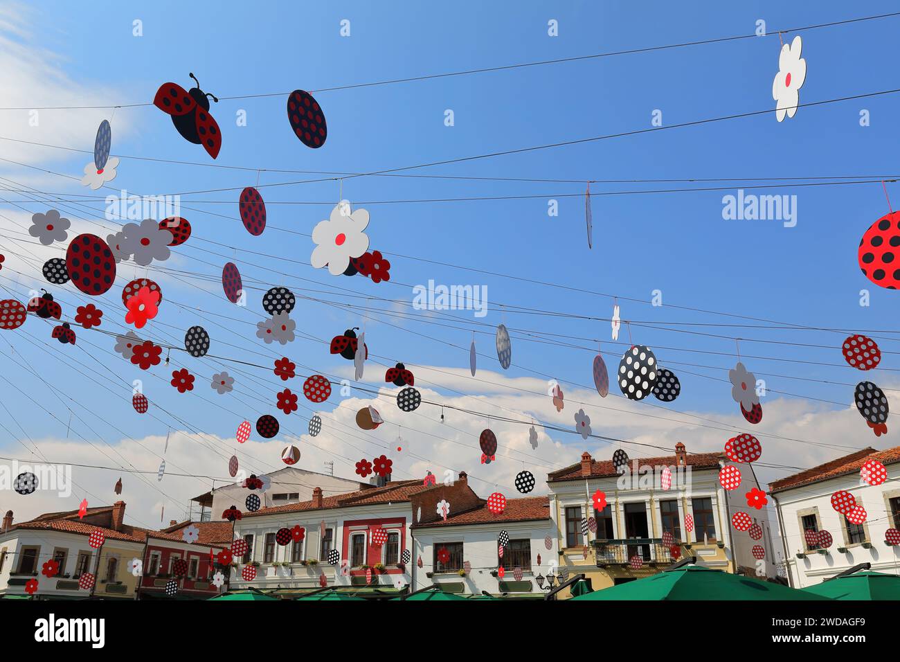 252 Décoration coloriste d'images rouge-noir-blanc de fleurs et de coccinelles pointillées suspendues au-dessus du vieux bazar Sheshi Iliria Square. Korca-Albanie. Banque D'Images