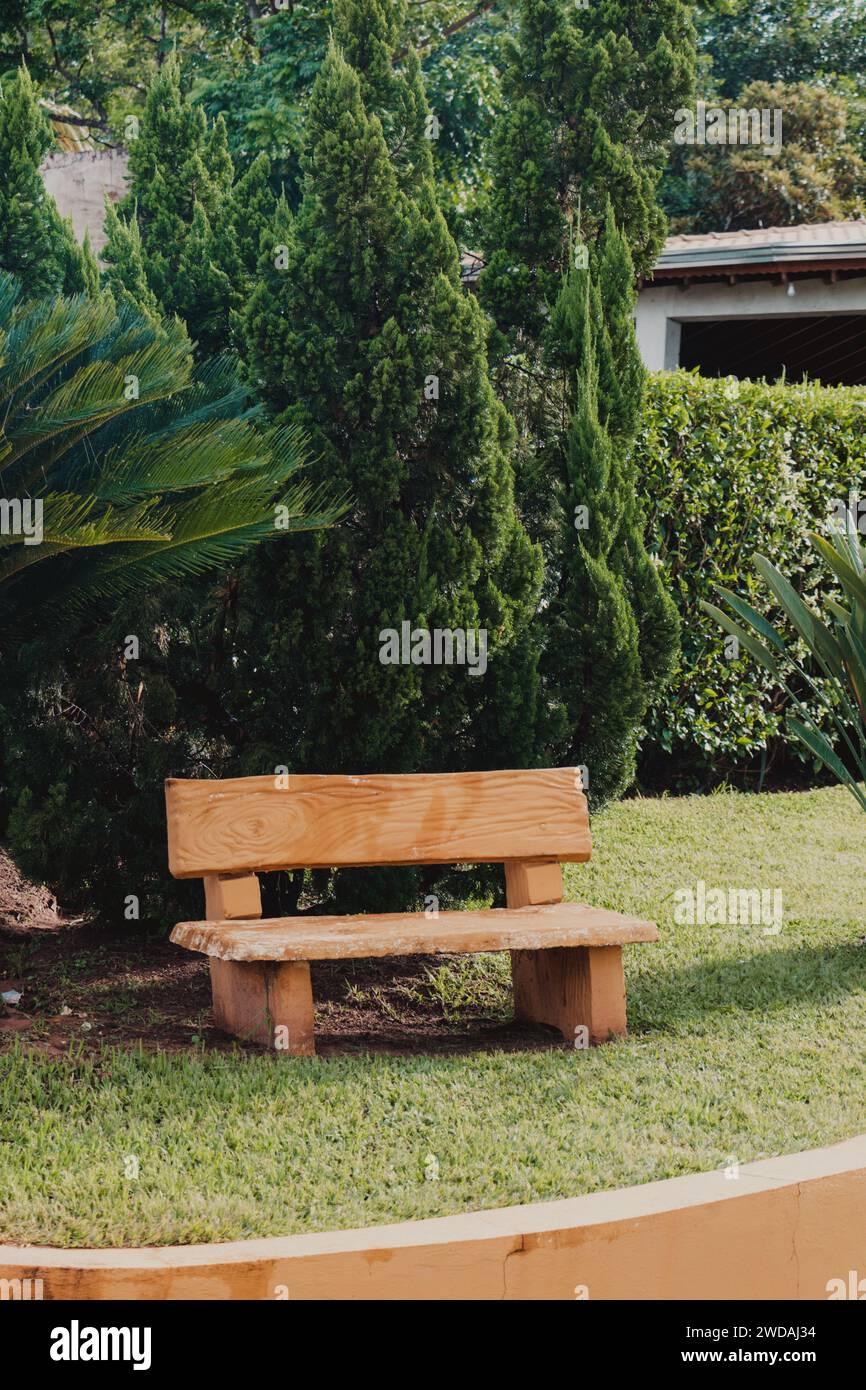 paysage de banc en bois dans le parc Banque D'Images