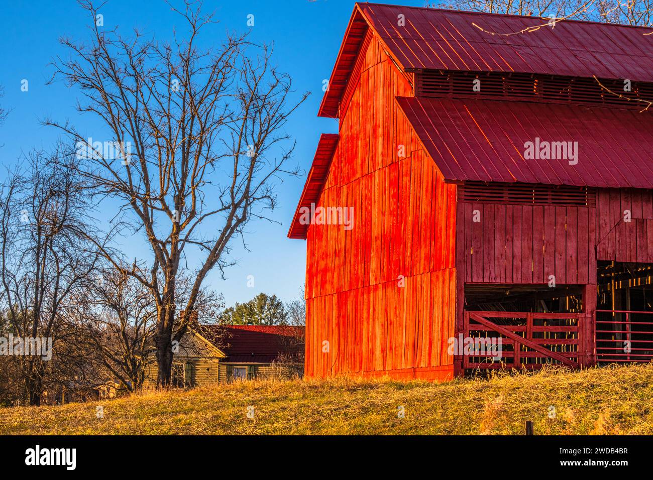 Red Barn dans Greene Co Tennessee Banque D'Images