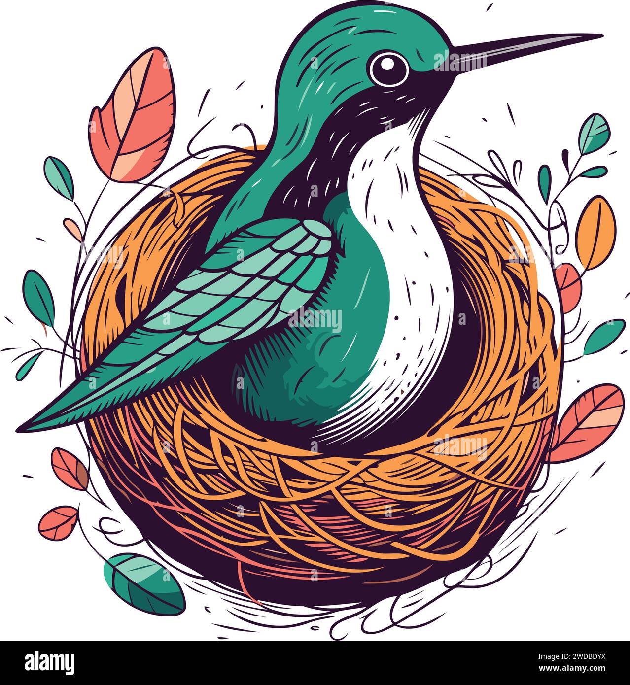 Illustration vectorielle dessinée à la main d'un colibri dans un nid avec des feuilles. Illustration de Vecteur