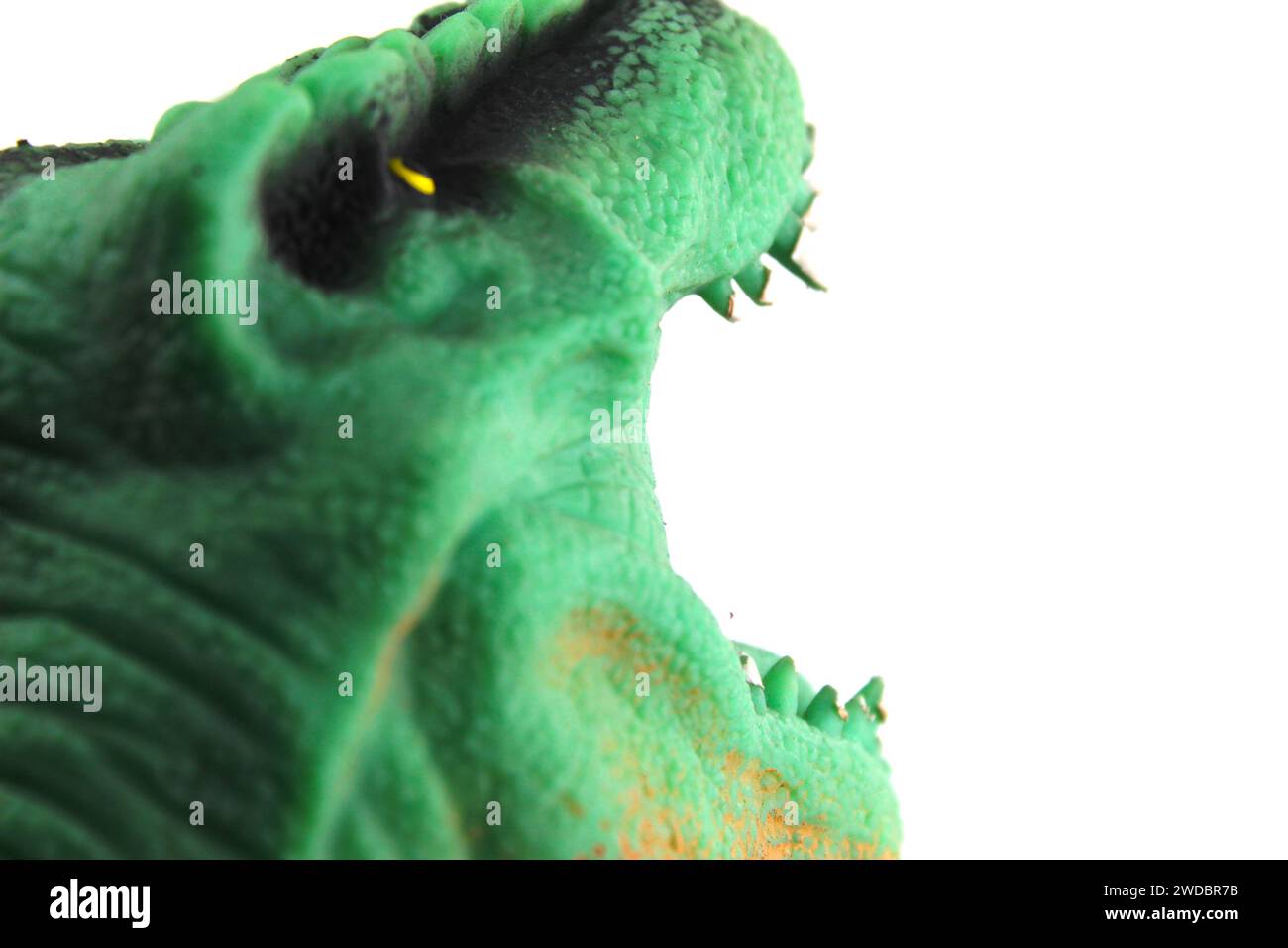 Une photo en gros plan d'une tête de dinosaure vert. Banque D'Images