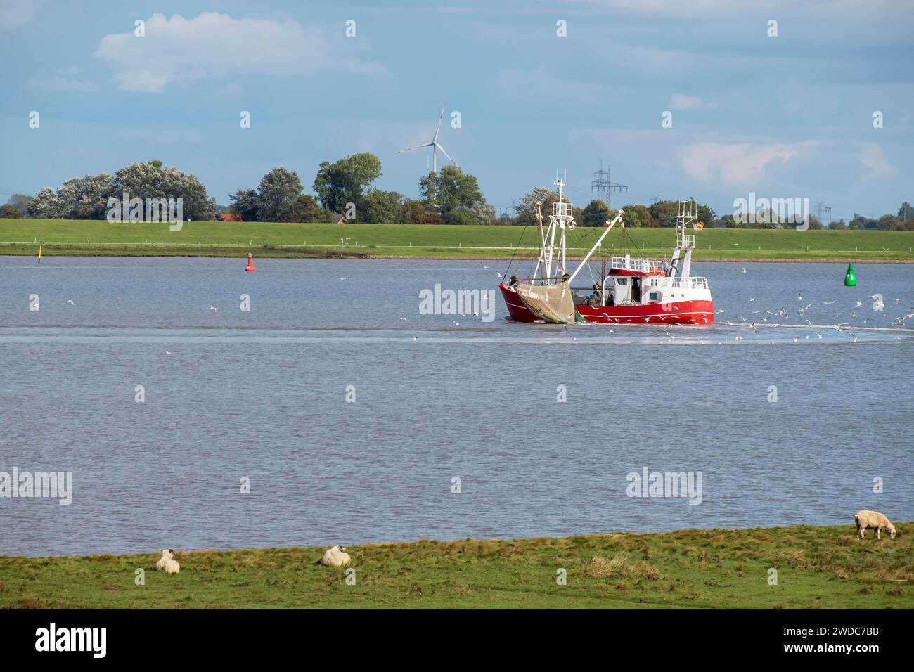 Coupe-crabe sur la rivière EMS près du village de pêcheurs de Ditzum, Rheiderland, Frise orientale, Basse-Saxe, Allemagne Banque D'Images
