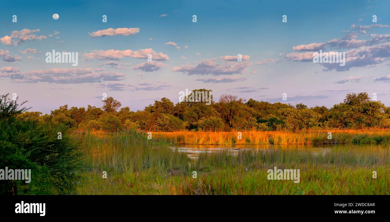 Rivière Moanachira, nature, paysage, romantique, safari, paysage naturel, voyage, vacances, vacances aventure, panorama, pleine lune, soleil du soir Banque D'Images