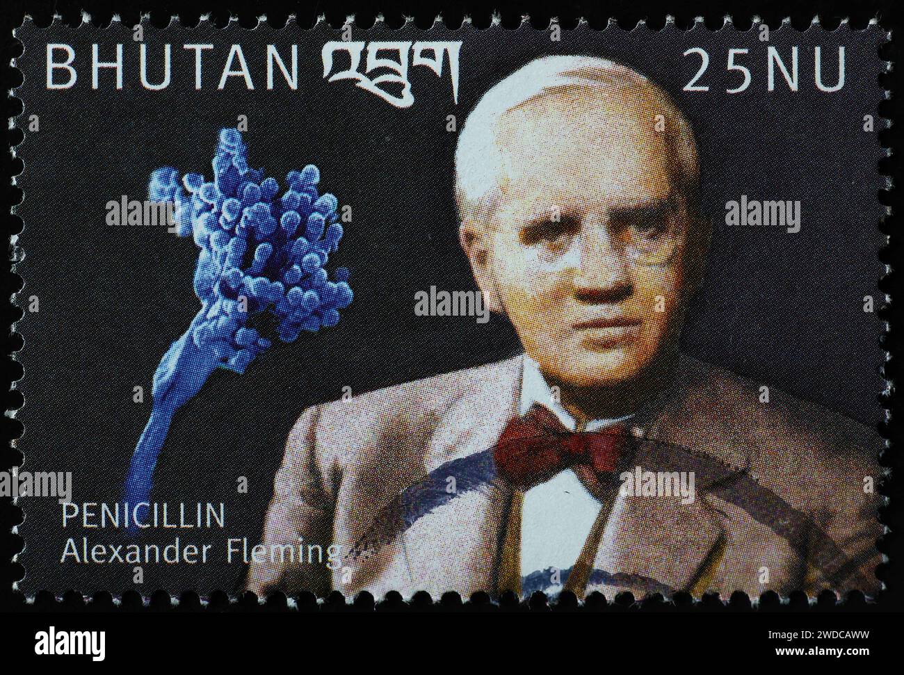 Découvreur de la pénicilline Alexander Fleming sur timbre Banque D'Images