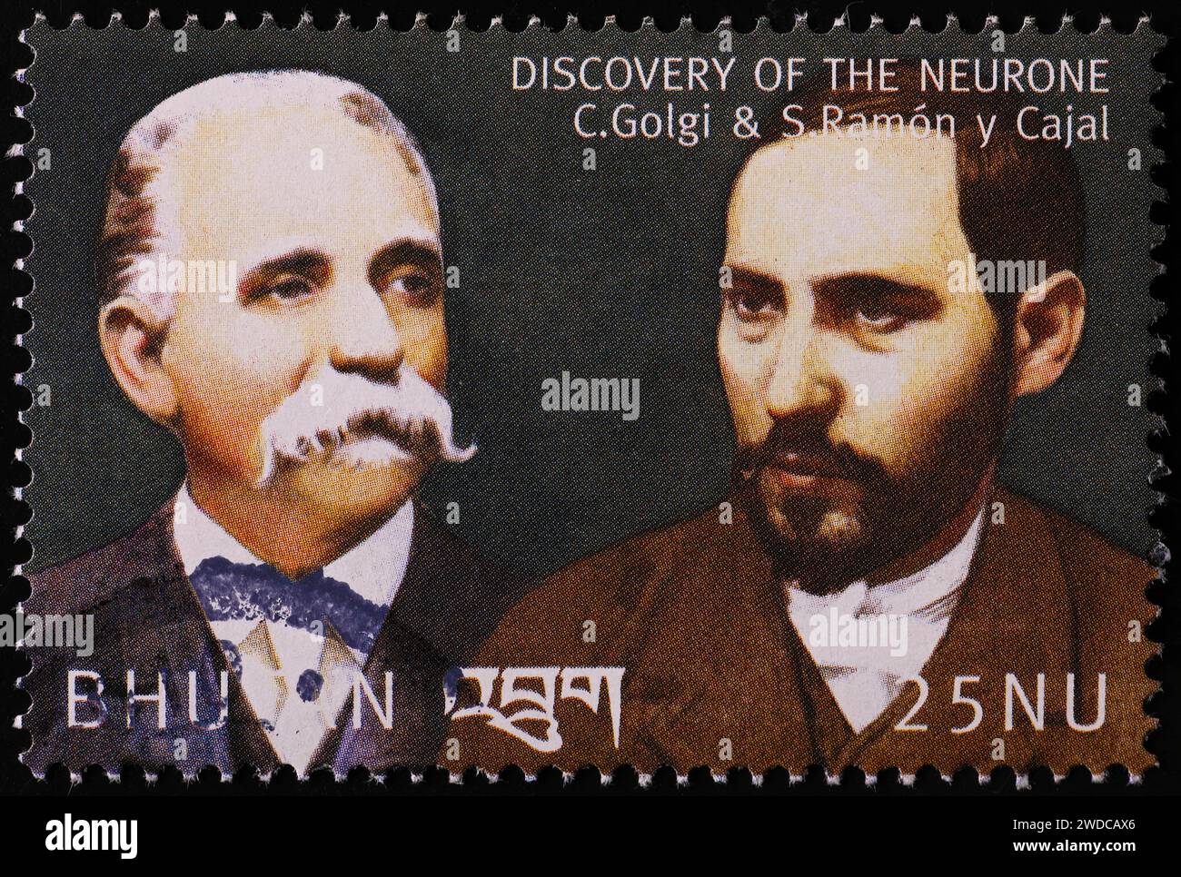 Les découvreurs du neurone célébrés sur timbre-poste Banque D'Images