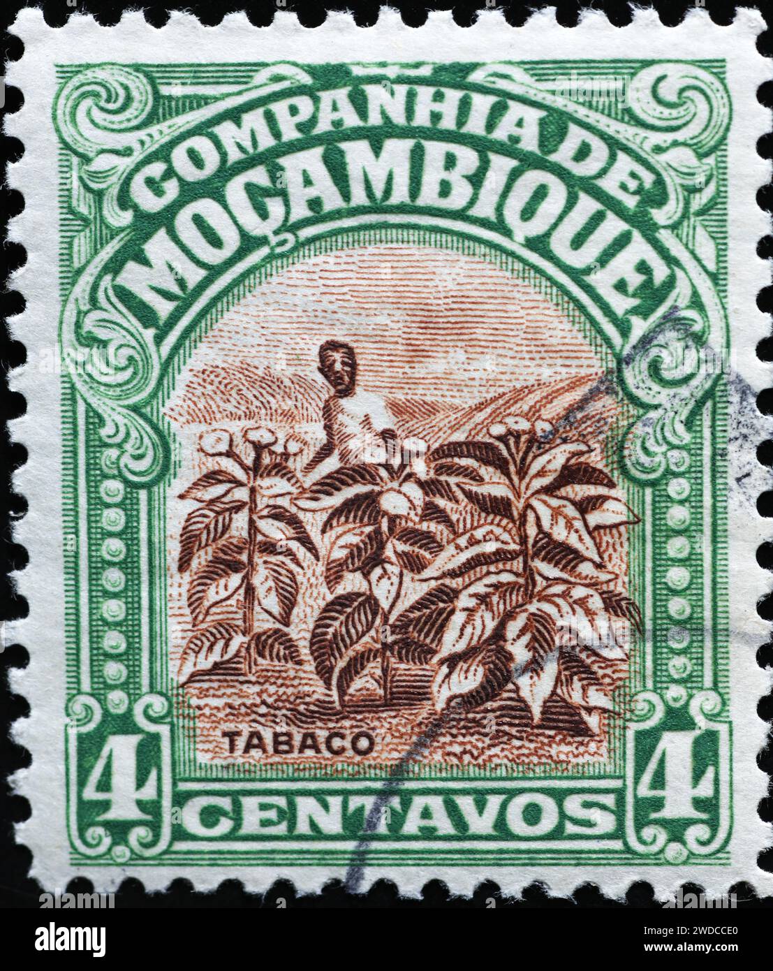 Plants de tabac sur timbre ancien du Mozambique Banque D'Images